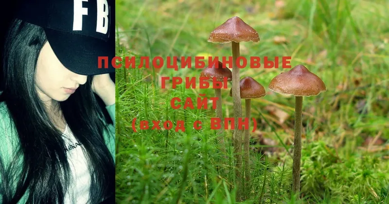 Псилоцибиновые грибы Magic Shrooms  цена   Биробиджан 